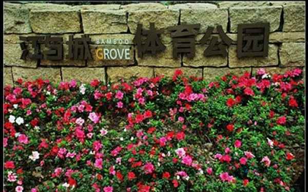 廠家去哪找？硬木企口體育木地板
